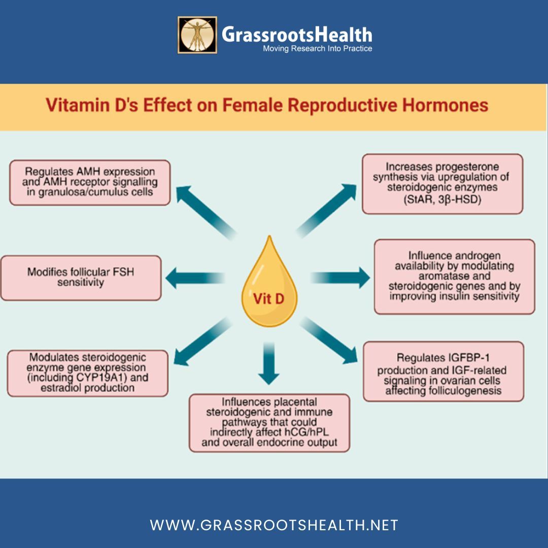 Grassroots4VitD's tweet photo. 🌸 Could your vitamin D levels be affecting your hormones and reproductive health?

Emerging research suggests that vitamin D plays a much bigger role in women's health than previously recognized. From supporting hormonal balance and menstrual health to fertility, pregnancy, and conditions like PCOS, PMS, endometriosis, and fibroids, maintaining healthy vitamin D levels may have far-reaching benefits.

Because vitamin D receptors are found throughout the female reproductive system, adequate vitamin D status may help regulate key reproductive hormones, support ovarian function, improve menstrual regularity, and promote healthier pregnancy outcomes.

💡 The takeaway? Knowing your vitamin D level is an important step toward optimizing your overall health and well-being.

Read the full blog to learn more:
https://t.co/HmIAThkM6J

#VitaminD #WomensHealth #HormoneHealth #ReproductiveHealth #PCOS #PMS #Fertility #PregnancyHealth #HormonalBalance #VitaminDResearch #PreventiveHealth #GrassrootsHealth