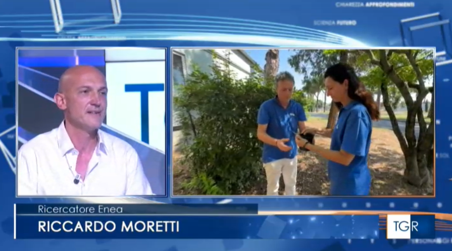 ENEAOfficial's tweet photo. Negli studi @TgrRaiLazio Riccardo Moretti, ricercatore @ENEAOfficial, ci parla di una strategia di controllo sostenibile della zanzara tigre in grado di ridurre in modo naturale la fertilità delle femmine. 

📺 Dal minuto 12: https://t.co/XQNh1382h5

@SapienzaRoma @MASE_IT https://t.co/mEd9N9azJv