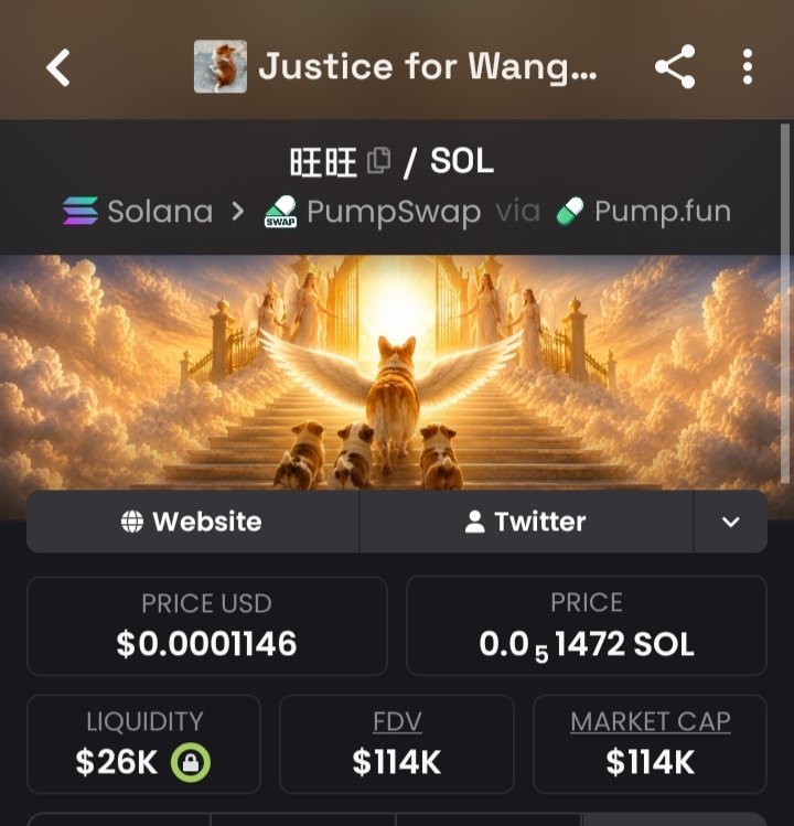 bridikjare's tweet photo. @quaintlotus142 We have already donated $4,000 to an animal charity in China and will donate 100% of the proceeds raised from the @WangWang_Sol coin; while this cannot change what has already happened, this step could save other dogs. @WangWang_Sol #JusticeForWangWang https://t.co/Dr35Lq8gkx