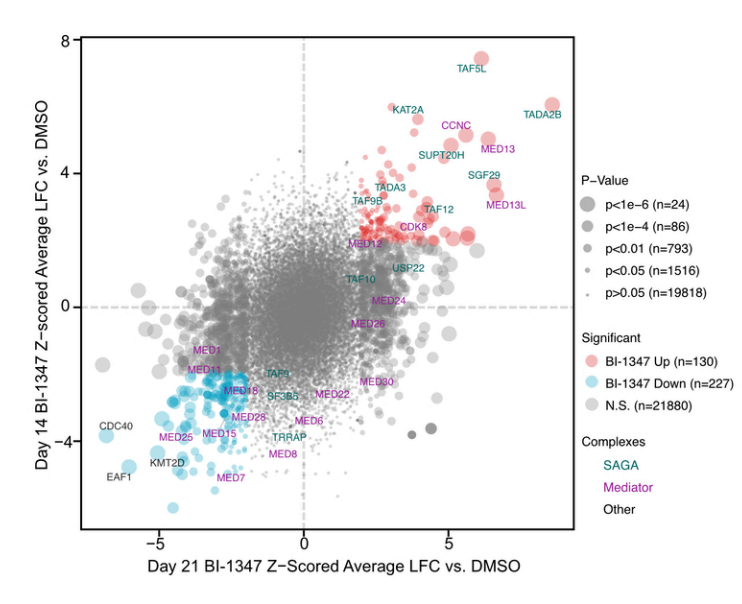 ElizSMcKenna's tweet photo. Now in @CD_AACR: 2 studies showing that CDK8 inhibitors act by trapping Mediator on chromatin &amp; that cancers w/driver oncogenes acting as dosage-sensitive transcription factors (e.g. aRMS, Ewing sarcoma) are vulnerable to impairment of transcriptional regulatory complex dynamics: https://t.co/cHqNkN3SVv