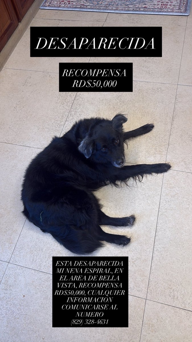 tokischa_sol's tweet photo. ESTA DESAPARECIDA MI NENA ESPIRAL, EN EL AREA DE BELLA VISTA, RECOMPENSA RD$50,000, CUALQUIER INFORMACION COMUNICARSE AL NUMERO
(829) 328-4631 https://t.co/bmmlmRsz4y
