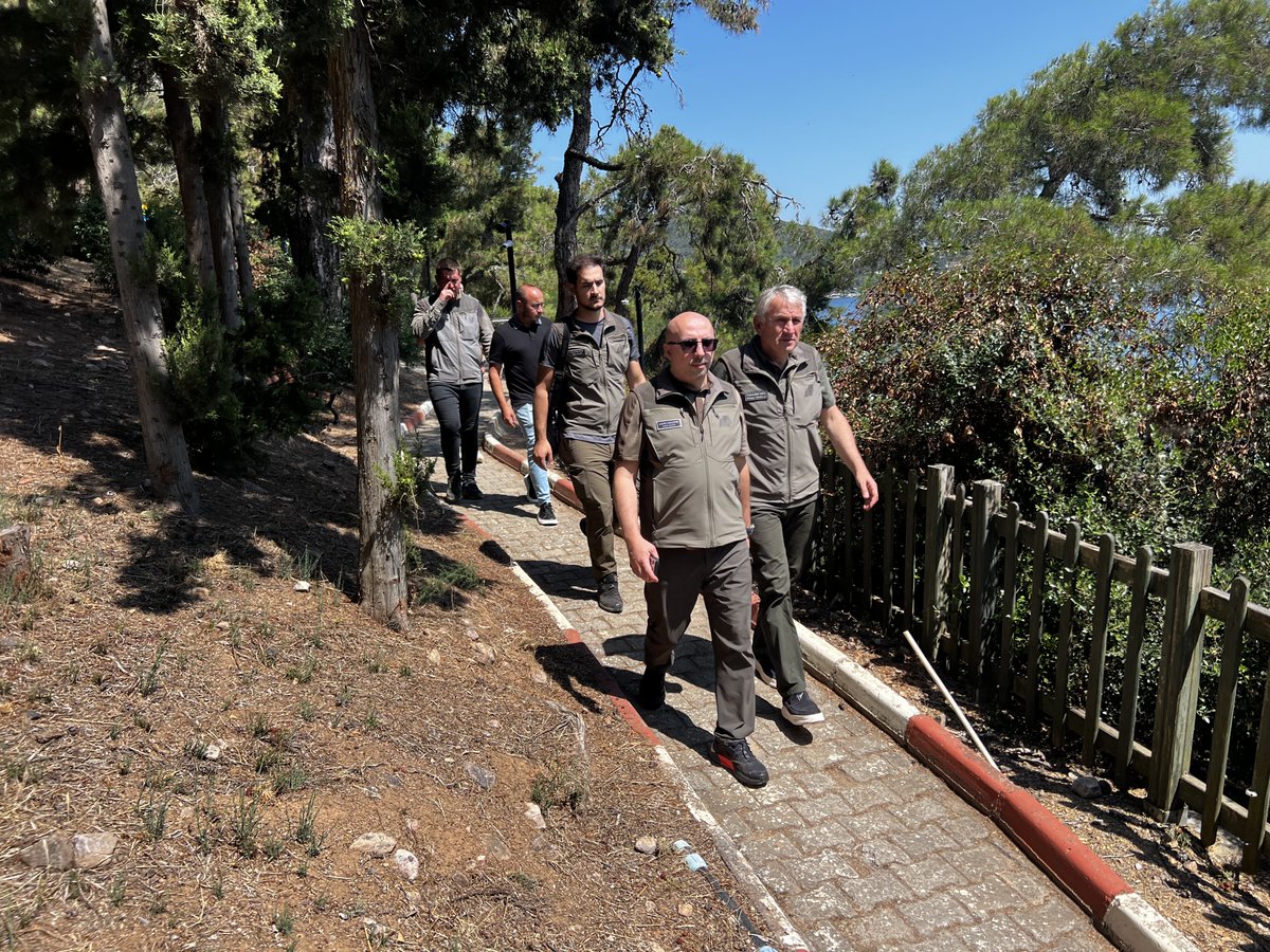 kadircokcetin06's tweet photo. Yeşil ile mavinin buluştuğu nokta: Dilburnu ve Büyükada Tabiat Parklarımız! 🌿🌊
  
​Bugün sahada yürüttüğümüz incelemelerle parklarımızın mevcut durumunu ve rekreasyon alanlarımızı değerlendirdik.
  
​Çam kokuları eşliğinde yürüyüş yapmak, bisiklet sürmek, gün batımını seyretmek ya da sadece doğanın sessizliğini dinlemek isteyen herkesi tabiat parklarımıza bekliyoruz.

#tabiatparkı #doğakoruma #doğaturizmi #nature