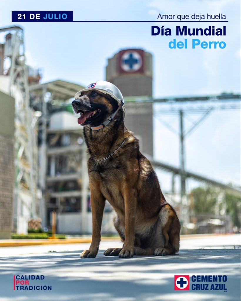 lacruzazul's tweet photo. Porque los mejores compañeros también tienen cuatro patas. 🐶

#CalidadPorTradición #FamiliaCruzAzul https://t.co/g7TKeFF1Zc