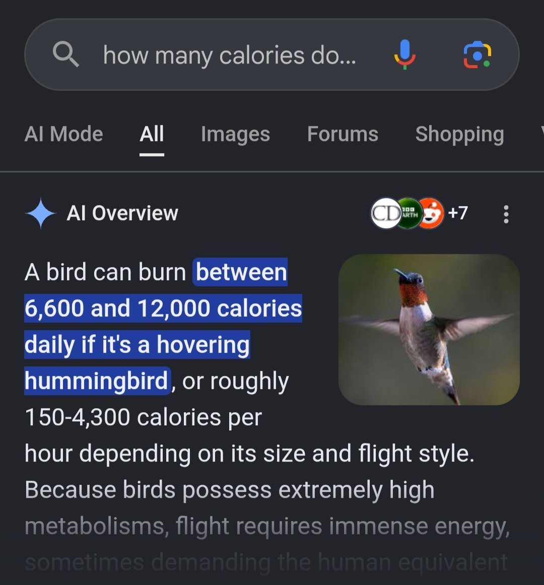strxvingxangel's tweet photo. gotta start bird maxxing 🐦 https://t.co/nBsL9Wv1qS
