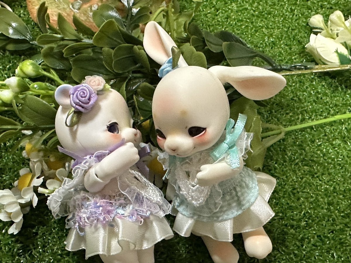cerest_muku's tweet photo. 久しぶりにとりあえずヤフオクに出してみた！！

久しぶり過ぎて色々分からんけどとりあえず様子見よう。
まあ、落札はされないだろうから次はメルカリかなー？

COCORIANGサイズ アウトフィットセット https://t.co/chF3wZx7Jb https://t.co/LZLX7xe7FV