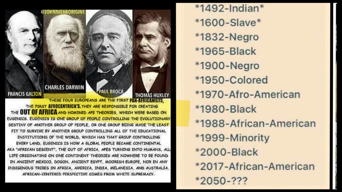 chosennegus tweet media