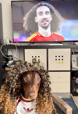 The Touchline | 𝐓 tweet media