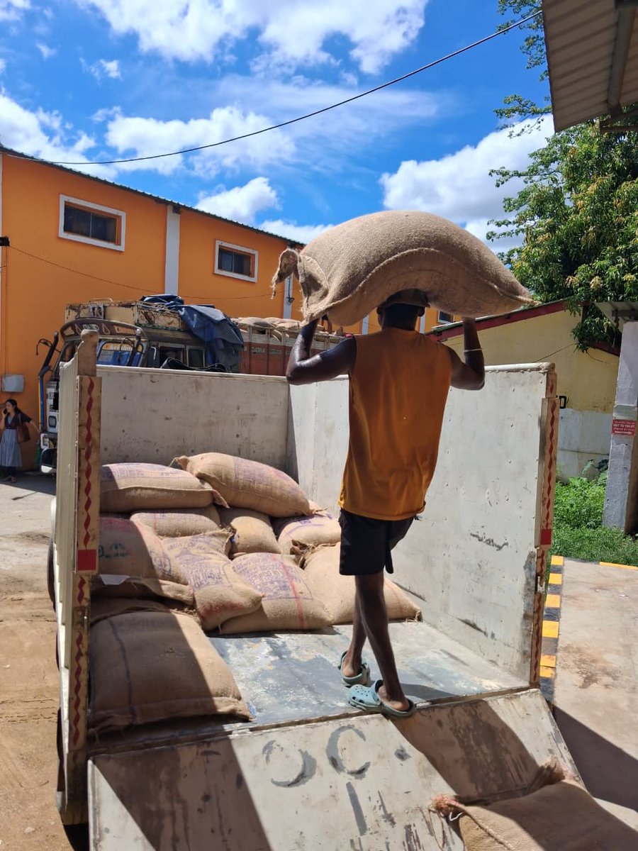 sdma_assam's tweet photo. ASDMA is coordinating and supervising the ongoing Open Market Sale Scheme (OMSS) Rice distribution being undertaken by the Food Corporation of India (FCI), Jorhat Division, to support flood-affected families in the districts of Jorhat, Sivasagar, and Charaideo. https://t.co/P2lypgCe9c