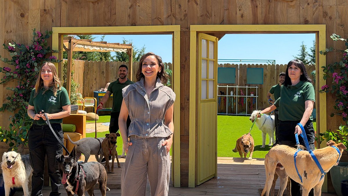 rtveplay's tweet photo. El regreso de #DogHouse nos trajo multitud de momentos y muchas, muchas emociones 🥺

🐩 Si te perdiste el primer programa o quieres volver a verlo, ya está disponible.

https://t.co/w4xIaW7JTq https://t.co/PbBDUfTTPY