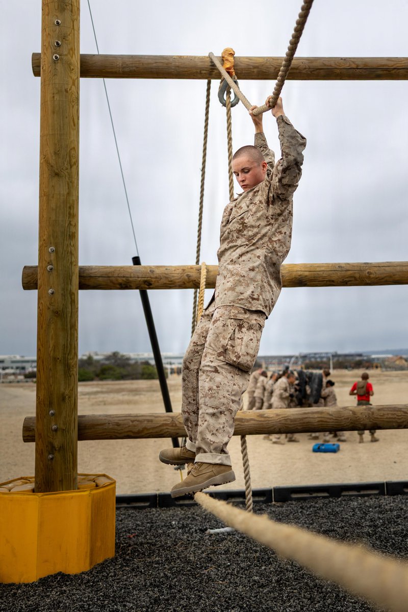U.S. Marines tweet media