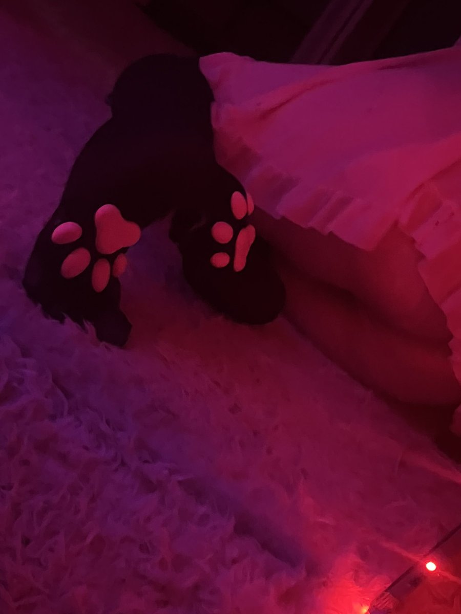 druggiestar's tweet photo. meow >_< 
#sellingconent #goonette #gooner #ekitten #egirl #feetfetısh #footfetısh https://t.co/XH4xRkU5bH