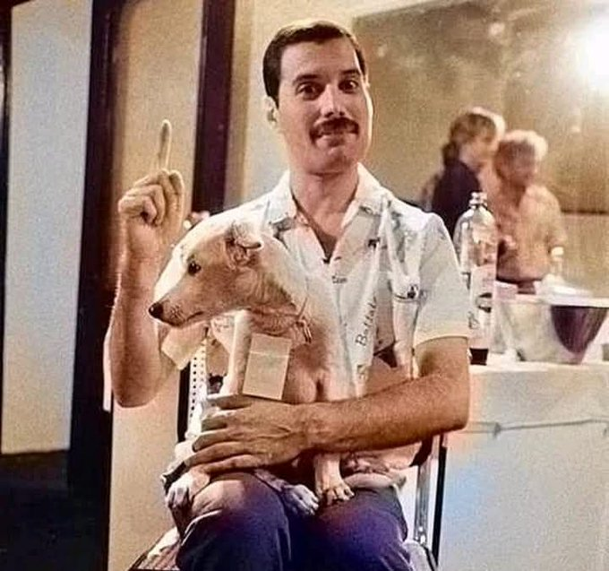 PatlovesFreddie's tweet photo. Adorable Freddie at backstage during The Magic Tour, Madrid, August 1986 🐶
The cute dog's name was Freddie and belonged to one of the promoters of the concert 💛 https://t.co/znTwq5aplF