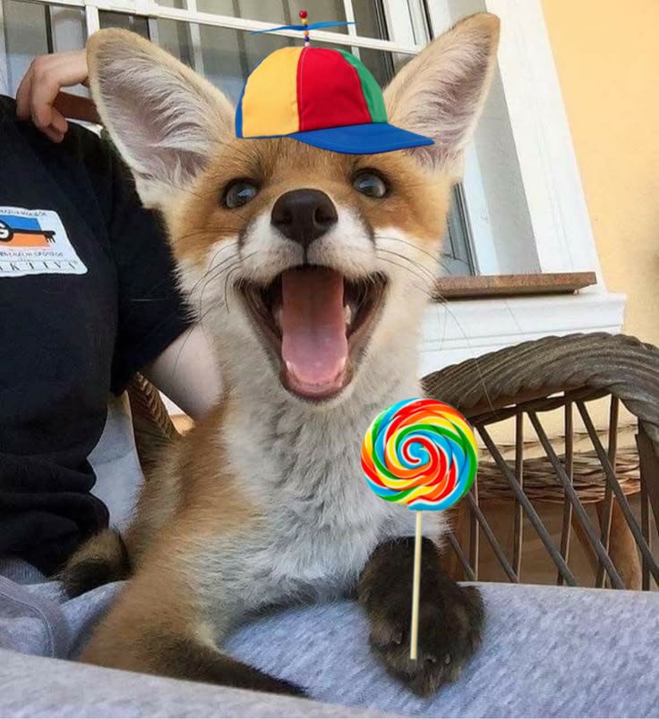 xVulp3x's tweet photo. @Shishi_Odoshii How I feel everytime I get crumbs of them https://t.co/7XOpzp4Nh1