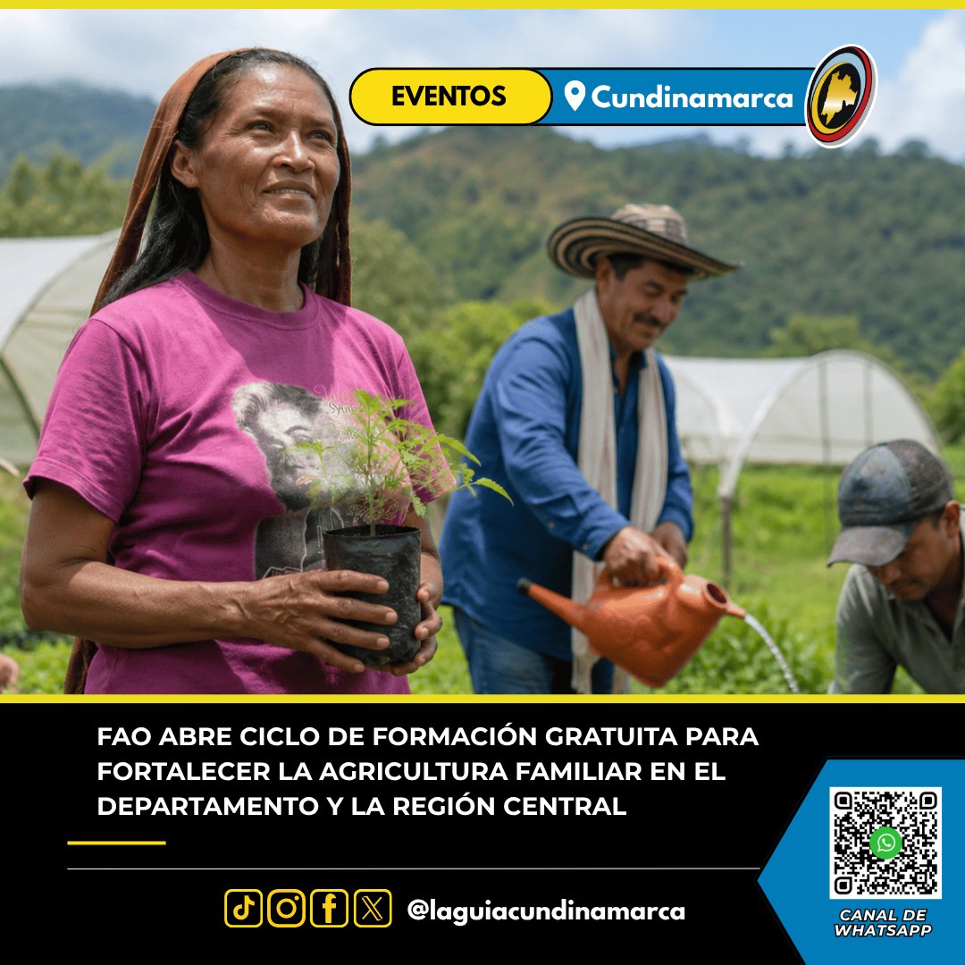 LGCundinamarca's tweet photo. 🌱 Fortalecer el conocimiento en el campo también significa impulsar la seguridad alimentaria, la sostenibilidad y el desarrollo rural.
🌾 Conozca la programación: https://t.co/u21NbAFMLb
#lgc #cundieventos #cundinamarca #agriculturafamiliar #campo https://t.co/hec4CCfcAZ