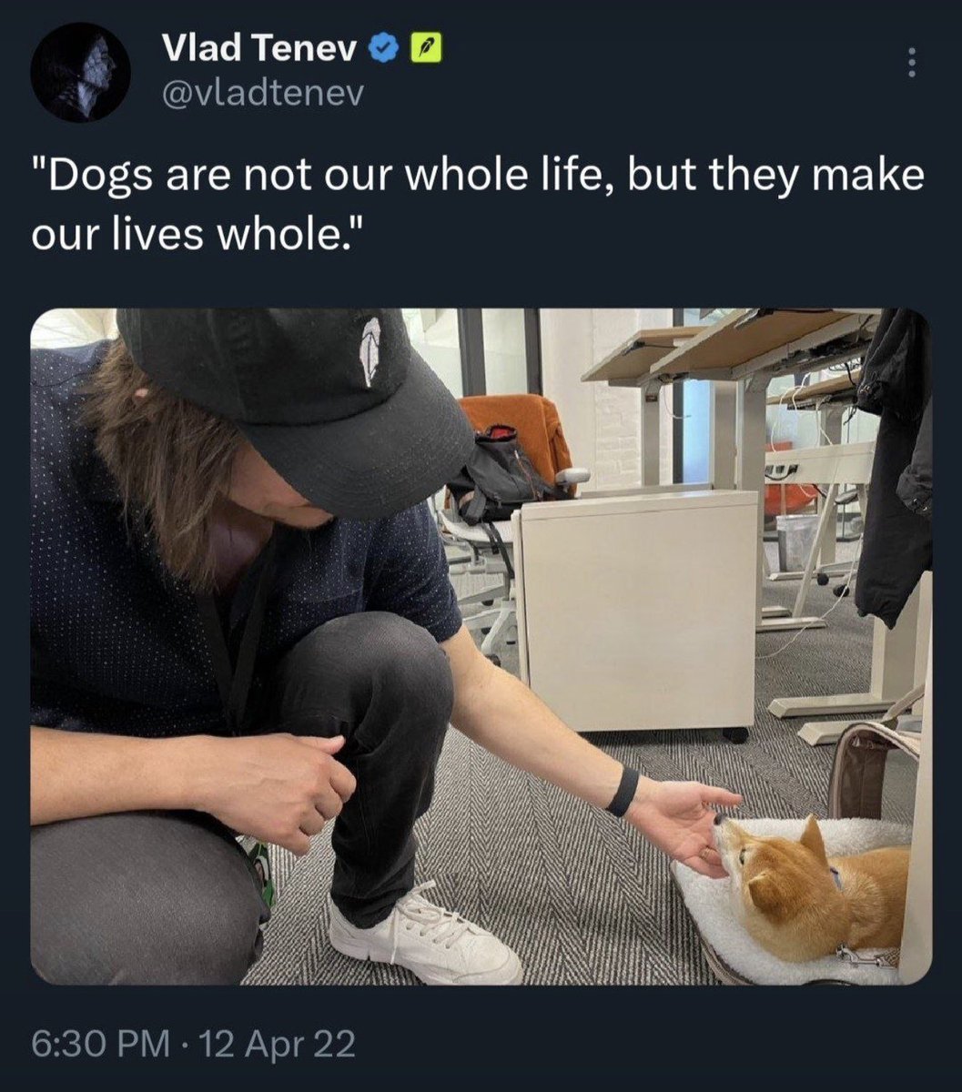 RSM8224's tweet photo. @famous_dyl Yes and that is with $Kitsu it won’t be 100x though. We are going 10,000x @KitsuRobinhood https://t.co/Ctsrkv7PDO