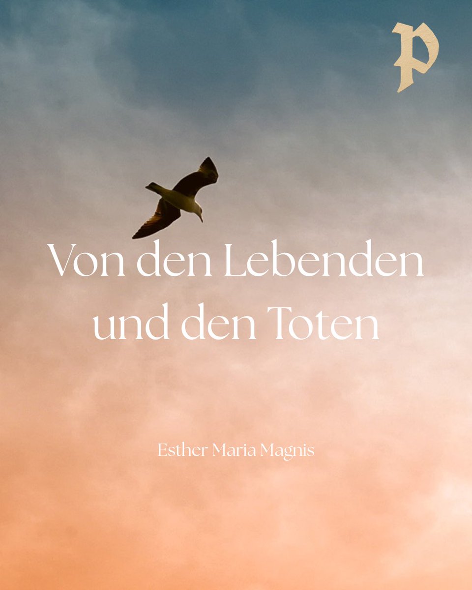 PloughDE's tweet photo. „Rühr mich nicht an“, soll die Ewigkeit gesagt haben, und „brannte nicht unser Herz“, sollen sie sich gefragt haben. Und das alles kommt einem irgendwie bekannt vor. https://t.co/U3NVyLQR6J