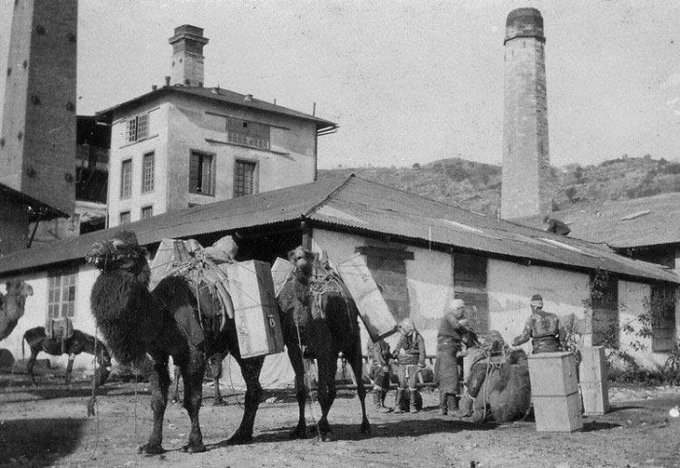 volkan_giritli's tweet photo. 📌Numaradan sokağa Coca Cola dökenlerden değil, Kurtuluş Savaşı Yıllarında Coca Cola'dan vergi alanların çocuklarıyız.

⏩Yıl 1920... Kuvayi Milliye, Coca Cola'dan Vergi alıyor...

🅾️Muhtemelen Kurtuluş Savaşımıza ait bu detayi pek çoğunuz bilmiyorsunuzdur. Anlatacağım.

📌1920 yılı Ocak ayı... 
Batı Anadolu, İzmir, Aydın Yunan işgali altında.  Aydın'dan İzmir'e hareket halindeki bir kervan Kuvayi Milliye güçlerince, Efelerimiz tarafından durduruldu. Bütün mallara Türk Milleti adına Aydın Kuvayi Milliye Riyasetliği tarafından el konuldu.

Ertesi ay bir başka deve kervanı daha durdurulup mallarına el konuldu. 
Sonra bir daha, bir daha...  
Aydın ve İzmir arasındaki sevkiyat tehlikeye girmişti.

Kuvayi Milliye tarafından el konulan deve kervanı Meyan Kökü taşıyordu... 
Mallar İzmir'de faaliyet gösteren Mc Andrews and Forbes Company adlı İngiliz firmasına aitti. 
Firma meyan kökünde dünyada tekeldi. 
En büyük alıcısı da The Coca Cola Company'di...

Mc Andrews and Forbes Company, 1854 Kırım Savaşından sonra Türkiye'ye gelmiş, Osmanlı'dan meyan kökü imtiyazı almıştı. 
Ege bölgesinde meyan kökü topluyorlardı. 
Nazilli, Söke ve Aydın'da meyan kökü işleyen 3 fabrika kurmuşlardı.

Osmanlı meyan kökü diye bir şey bilmiyordu. 
Meyan kökünün değersiz bir madde olduğu konusunda ikna edilmiş, bu bitkinin doğada kendi kendine yetişen "Hüdayınabit" bir bitki olduğunu, değersiz olduğunu kabul edip, bu imtiyazı İngilizlere vermişlerdi.

İngiliz şirketi meyan kökünü köylülere toplatıyor, kilosunu 20 paraya (yarım kuruş) alıp fabrikada işliyor ve 6 kuruşa satıyordu. 
İşte Kuvvacı Efeler, Mc andrews'in bu düzenine çomak sokmuşlardı.  
Aydın bölgesinden meyan kökü ihracatı durmuştu.  Coca Cola hammadde sıkıntısına girmişti.

Soluğu sarayda aldılar. 
Hem İngiliz elçisi, hem Abd'nin istanbul temsilcisi Amiral Bristol devreye girmişti. 
Kuvayi Milliye'nin bu baskınlarını Vahdettin'e şikayet edip, onların yakalanmasını, malların kendilerine teslim edilmesini istediler.

Dış Güçlerin bu şikayeti üzerine Vahdettin; "Kuvayi Milliye ile temas kurulması ve meselenin halledilmesi" emrini verdi.  

Lakin Kuvayi Milliye, Vahdettin'i ve sarayın şarlatanlarını muhatap dahi almadı.  
Bunun üzerine İngiliz ve Amerikalılar mecburen Kuvayi Milliye ile temas kurdular.

Bu şu anlama geliyordu;
Anadolu'nun Hakimi Kuvayi Milliyedir, TBMM'dir...

1920'nin Haziran-Temmuz aylarında Mc Andrews and Forbes Company temsilcileri, Aydın Kuvayi Milliye Komutanı Binbaşı Şükrü Bey ile görüştüler. 
El konulan kervanların bırakılmasını talep ettiler.

Konu Ankara'ya iletildi, Mustafa Kemal Paşa haberdar oldu ve gerekli talimat Kuvvacılara verildi.

Şükrü Bey el konulan 5 kervan mal karşılığı kilo başına 1.5 kuruş vergi aldı ve şirkete mallarını iade etti.  
Daha sonra yapılacak her sevkiyattan da Ankara Hükümeti vergi almaya başladı. 
İngiliz ve Amerikalılar, artık Türk topraklarını yağmalayamayacak, vergi ödeyeceklerdi.

İzmir ve Aydın Yunan işgali altındaydı, ama Kahraman efelerimiz bu toprağa ait olan bir bitkinin bile yağmalanmasına müsade etmiyor, Anadolu halkının hakkı olan vergiyi onlardan tahsil ediyordu... 

Şüphesiz ki bu durum, Zaferden sonra kurulacak Türkiye Cumhuriyeti'nin Osmanlı'dan çok farklı olacağını, topraklarını emperyalistlere yağmalatmayacağının bir işaretiydi...
➖➖➖
NOT: Ben şimdi durduk yere bu yazıyı neden yazdım?
Malum birkaç gün sonra Türkiye'nin tapu senedi olan Lozan Antlaşması'nın yıldönümünü idrak edeceğiz.
Lozan'da bizim en önemli kırmızı çizgilerimizden biri Kapitülasyonların kaldırılmasıydı.
Zira koca Osmanlı'nın sonunu getiren şey neredeyse tüm ülkelere tanınan imtiyazlar, kapitülasyonlardı.
İşte bu vatanın kurucu ve kurtarıcı iradesi, kapitülasyonların ve imtiyazların sıkıntılarını çekmiş ve bu sıkıntıların koca bir devleti yiyip bitirmesine şahit olmuş insanlardı. Bu yüzden her türlü imtiyaza geçit vermemeye kararlılardı.
1020 yılı Kurtuluş Savaşı'nın henüz emekleme dönemi, en güçsüz olduğumuz dönemdir. Böyle bir dönemde dahi kapital karşısında kararlı bir duruş sergilemiş ve taviz vermemişlerdir. Vahdettin rezilinin ise bu konuda neler yaptığını yukarıda yazdım.
Şimdi Bakan Bey çıkmış müfredatı değiştirerek gerçekleri silmeye, İşgalcilerin kuklası Vahdettin'e iade-i itibar yapmaya çalışıyor ama yemezler.
Sen istediğin kadar müfredatı değiştir, ben gerekirse gençlere bunları tek tek okutacağım...
#tarih #MilliMücadele #KuvayiMilliye #çarşamba #salı #CocaCola #kapitülasyonlar #LozanAntlaşması #YusufTekinistifa