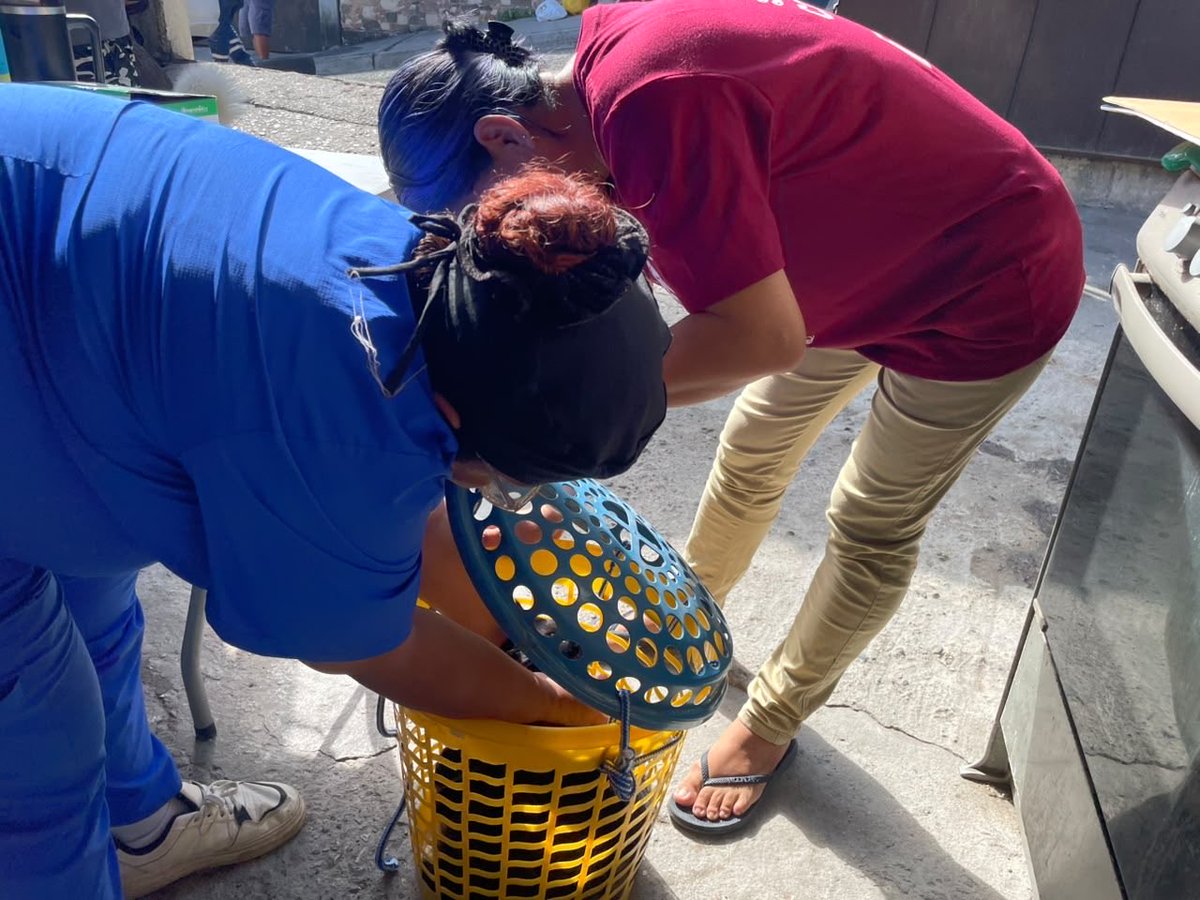 aquilesenlacomu's tweet photo. 🐾 El Municipio de Guayaquil, a través de la Dirección de Protección de los Derechos de los Animales y la Dirección de Vinculación con la Comunidad, realizó una brigada veterinaria en Juan Montalvo, Coop. Estrella de Belén, brindando atención para el bienestar de perros y gatos. https://t.co/OgUxJRIIWy