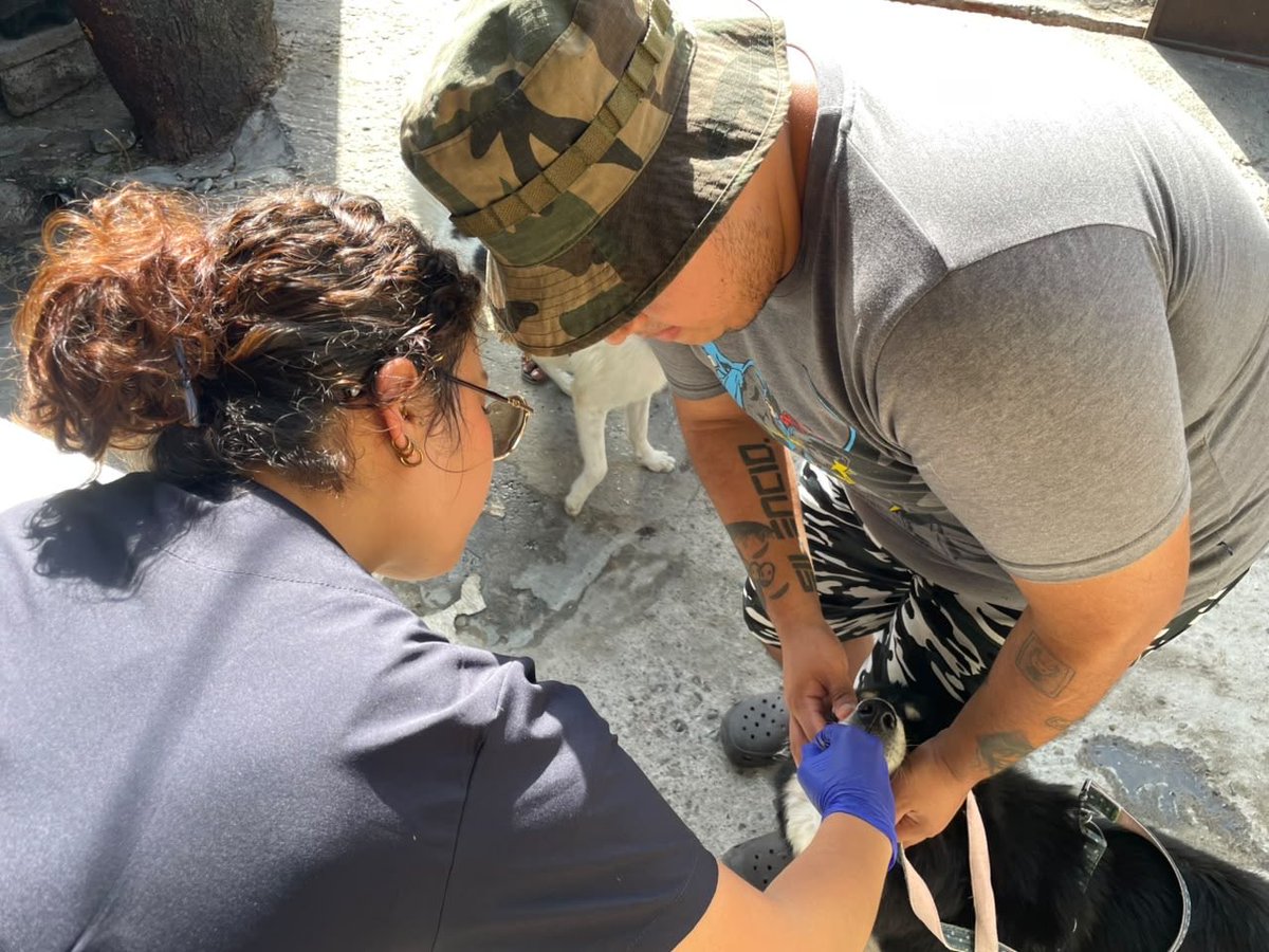 aquilesenlacomu's tweet photo. 🐾 El Municipio de Guayaquil, a través de la Dirección de Protección de los Derechos de los Animales y la Dirección de Vinculación con la Comunidad, realizó una brigada veterinaria en Juan Montalvo, Coop. Estrella de Belén, brindando atención para el bienestar de perros y gatos. https://t.co/OgUxJRIIWy