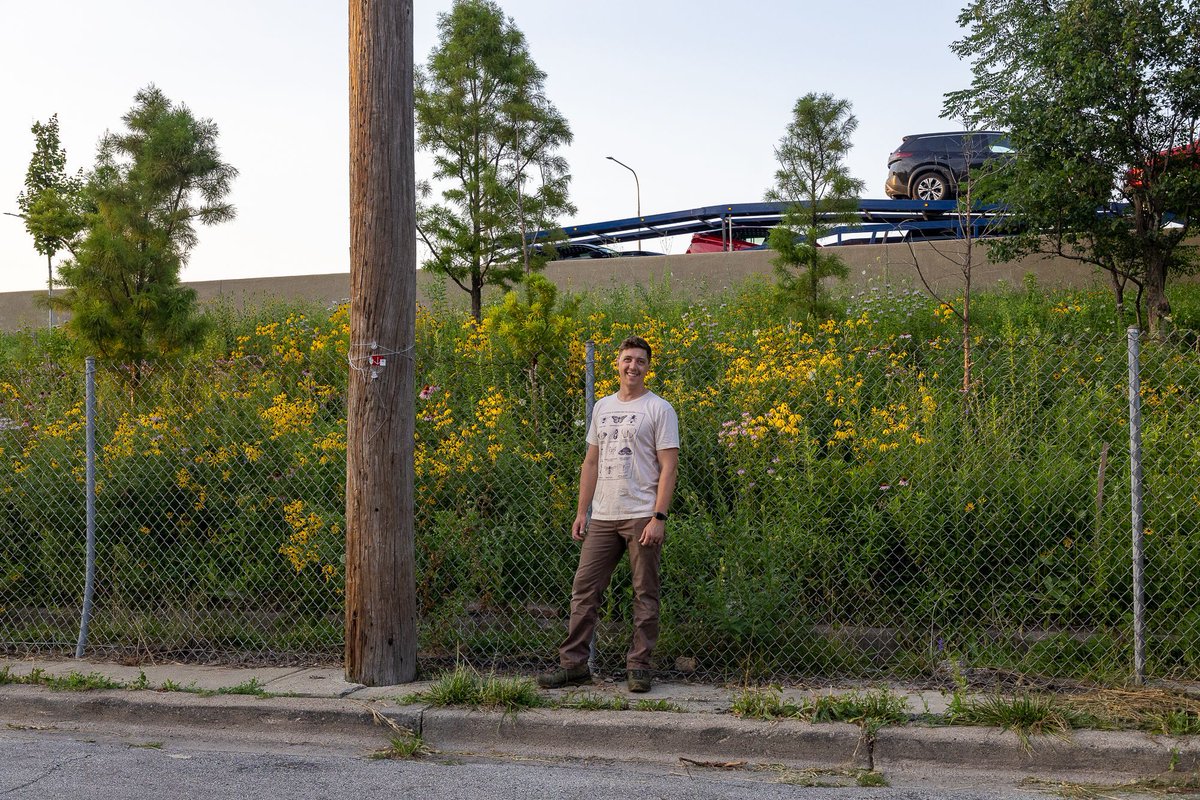 BlockClubCHI's tweet photo. A sliver of land along the Kennedy Expressway has been reborn as a native prairie. https://t.co/a7yoM4tWrm https://t.co/4ZVyjfeFwi