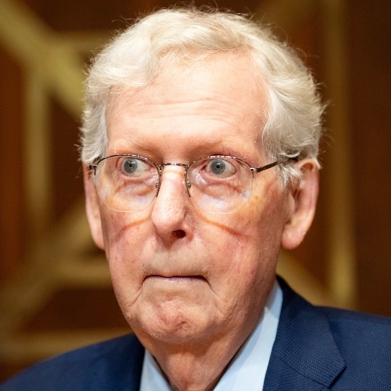 anyonewantchips's tweet photo. If only Democrats hid the death of Ruth Bader Ginsburg for 5 weeks - the way Republicans are hiding the death of glitch Mitch McConnell for 5 weeks and counting. https://t.co/pLoMDzwwWT