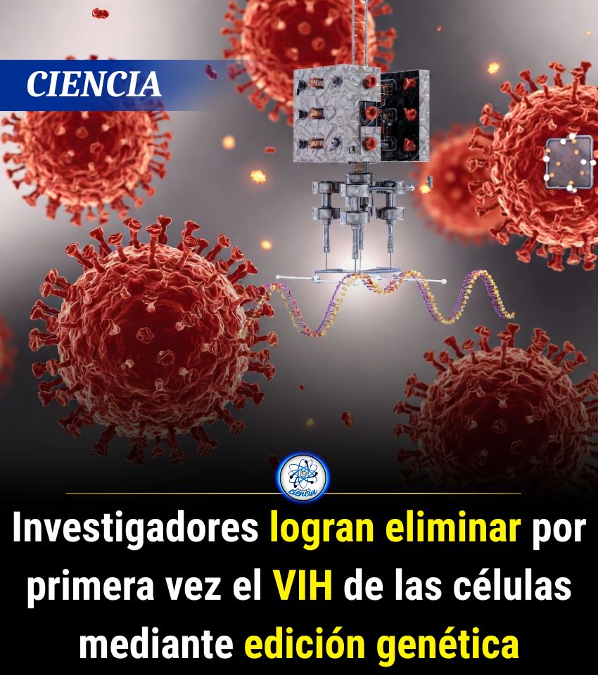 EnsedeCiencia's tweet photo. https://t.co/IcUb4CbJVn