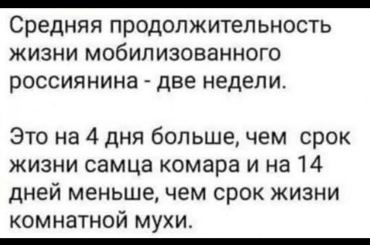 sanchadj's tweet photo. @Perimetr123 Приползли, сфоткались, забаранились! https://t.co/gCtlqtnEiY