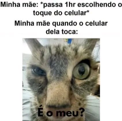 shitpostverdade's tweet photo. https://t.co/4fv5a1b8XW