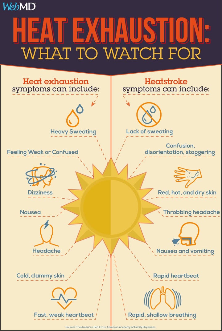 WebMD's tweet photo. Do you know the signs of heat exhaustion and heatstroke? Here's what to watch for: https://t.co/8gWBFTubAe https://t.co/FaaBqE9MSX