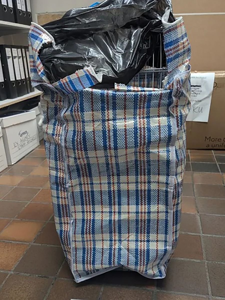 PetaIS0L's tweet photo. Everyone just missed this wtf,

A GIGA rare monkey was found in a BAG on a bus in England, the government have taken ownership of him and named him "Oyster" - https://t.co/FvYmykGflW

Legit a monkey that just got adopted by the British Gov!?!? https://t.co/sWB9Za2FJQ