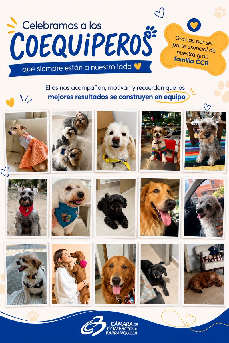 Camarabaq's tweet photo. ¿Sabías que el sector veterinario en el Atlántico está impulsado por la fuerza microempresarial? 🐶💼

Con motivo del #DíaDelPerro nuestro equipo de Inteligencia de Mercados comparte datos clave del sector:

📌 177 negocios formales en el departamento.

📊 El 98.31% corresponde a microempresas.

📉 Las personas naturales representan el 61% de los establecimientos, generando más de $6.510 millones en ingresos operacionales.

Respaldamos el crecimiento de los negocios que protegen a los que no tienen voz. ¡Sigamos fortaleciendo el tejido empresarial! 🚀

Conoce y participa en nuestros programas y convocatorias en nuestra página web 👩🏽‍💻👨🏻‍💻