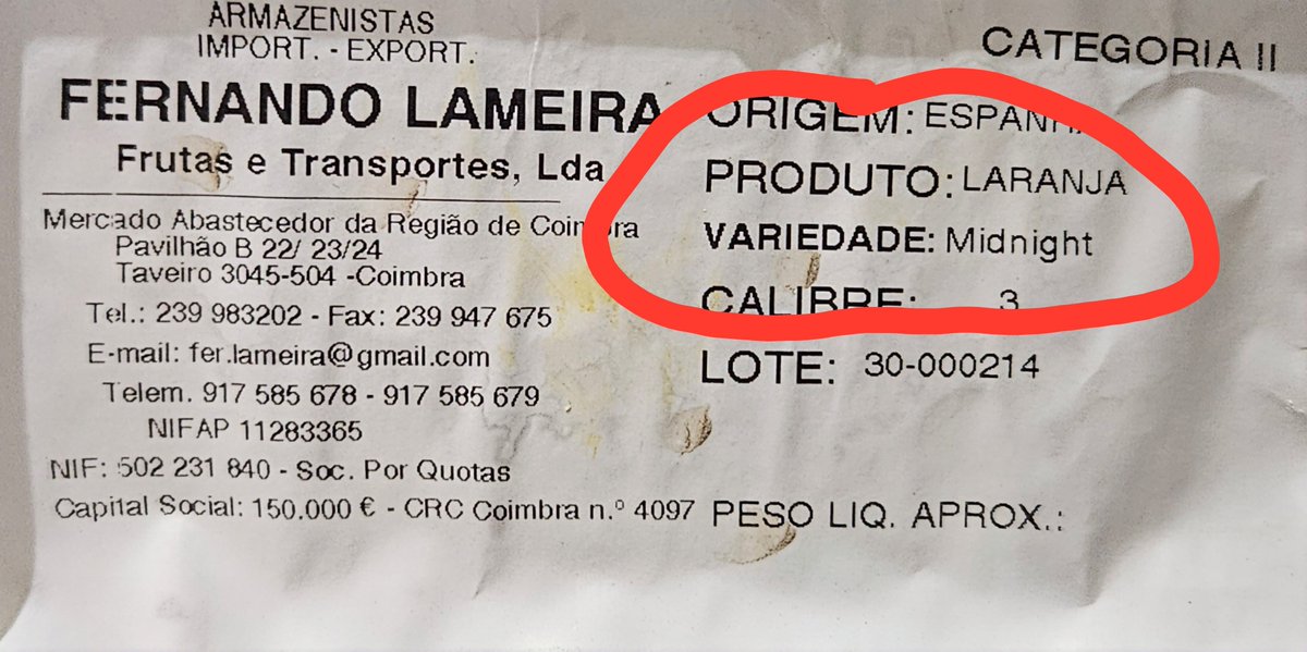 josp11's tweet photo. A 🍊 que deita por terra o provérbio. https://t.co/KcsEFdfcC5