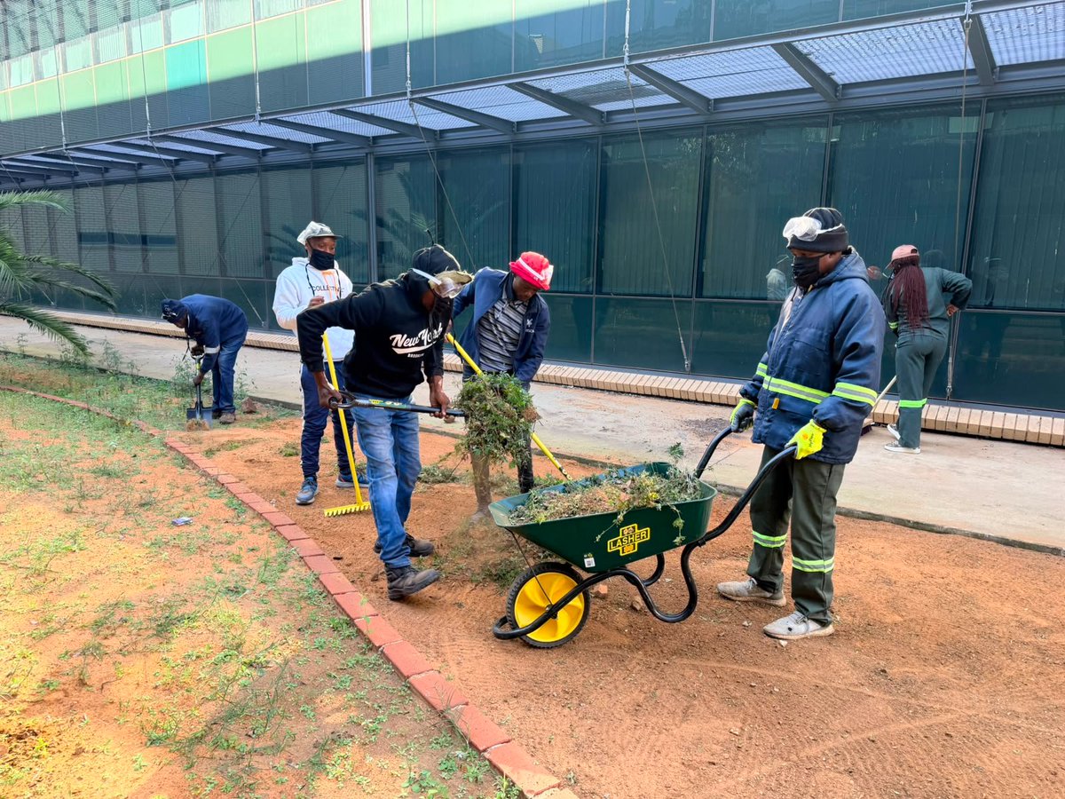 nwpublicworks's tweet photo. In celebrating Mandela Month, officials from Department of Public Works and Roads - NW in Dr Ruth Segomotsi Mompati District together with EPWPs, undertook a cleaning and planting campaign at Mini Garona and the Naledi Mechanical Workshop in Vryburg. #nwpg https://t.co/wUhsDN3tyw