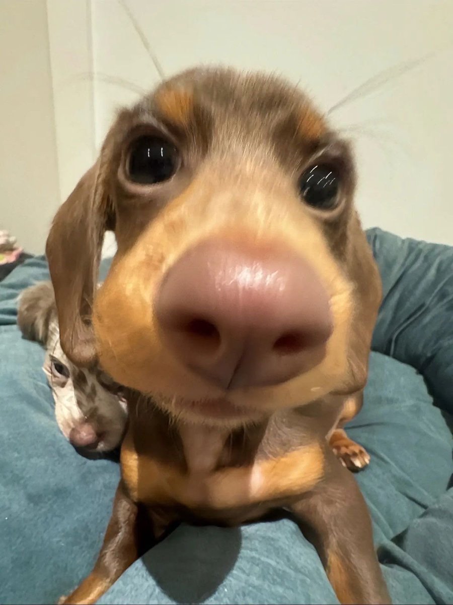 twaniimals's tweet photo. https://t.co/tamdAe2inQ