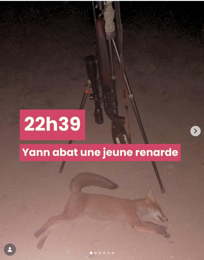 ChasseAbolition's tweet photo. Tirer de nuit dans nos campagnes, c’est permis.

⚫ De façon générale, la #chasse est autorisée à partir d’une heure avant le lever du soleil, jusqu’à une heure après son coucher.

Les sadiques aiment tuer !

https://t.co/Ju89TWtebu https://t.co/SfUnQdjbxf