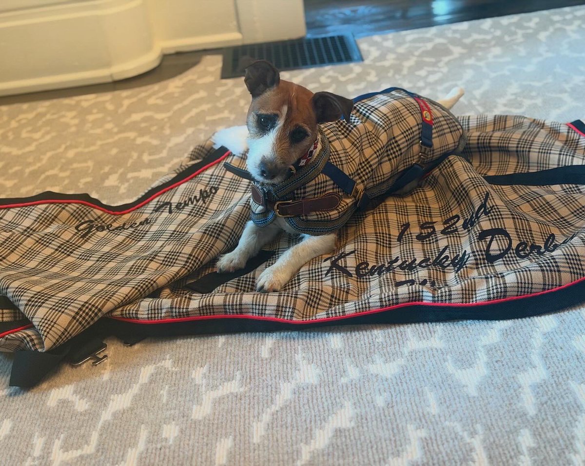 RealDeUavx's tweet photo. 5/A Baker Blankets sent the cutest gifts. https://t.co/uMlZzHhsSV