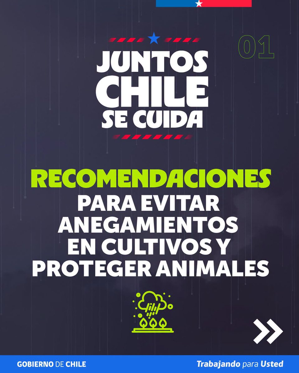 MinagriLosLagos's tweet photo. #JuntosChileSeCuida 📷
📷 Te compartimos las siguientes recomendaciones, preparadas por la Unidad de Gestión de Riesgo de Desastres Agrícolas (UGRA), para evitar anegamientos en cultivos, proteger a los animales y actuar de forma segura ante una eventual evacuación. https://t.co/dwht46Xd0y