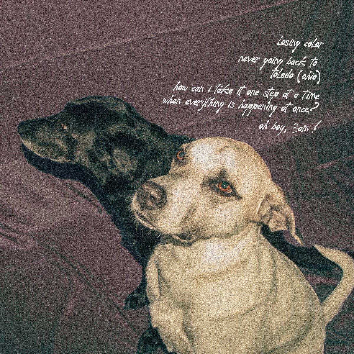 TinyVoicesWI's tweet photo. OUR NEW EP “my mind’s recession” IS OUT NOW ON ALL STREAMING PLATFORMS 🥳

CATCH US ON TOUR WITH STEREOSITY AND MELANCHOLY CLUB THAT STARTS TODAY!! SEE YOU IN THESE CITIES 

7/21 - Columbus, OH
7/22 - Indianapolis, IN
7/24 - Detroit, MI
7/25 - Chicago, IL
7/26 - Minneapolis, MN https://t.co/qSAv920Fkw