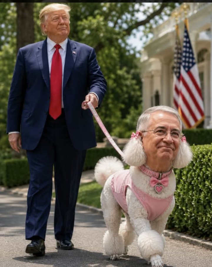 Antontom25's tweet photo. @PedroHerrero_ @RicardoBSalinas Cuánto te duele pedófilo que le digan la verdad a tú hermana la jata salinas la perrita de Trump, sedan de coraje jotos mañosos hijos de perra,  aparte eres un pedófilo delincuente drogadicto https://t.co/iHOvyqkMoJ