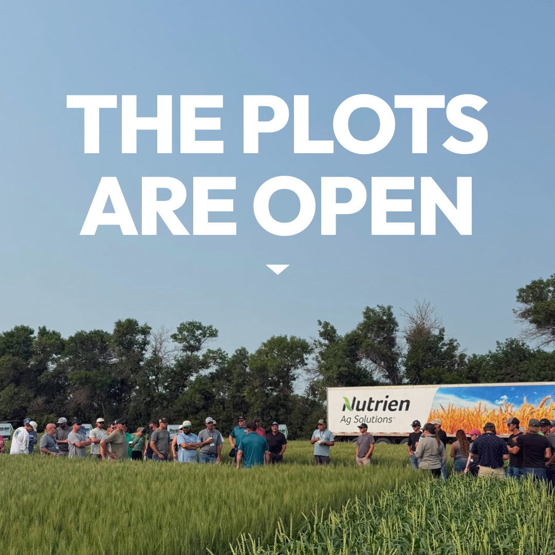 ProvenSeed's tweet photo. @AginMotion is officially underway and folks are starting to explore the Proven Seed plots! ​
​
If you're here at #AIM26, stop by booths 125 &amp;133 to say hi to our local experts and take a look at our offerings. https://t.co/Dl0nMeDXbZ