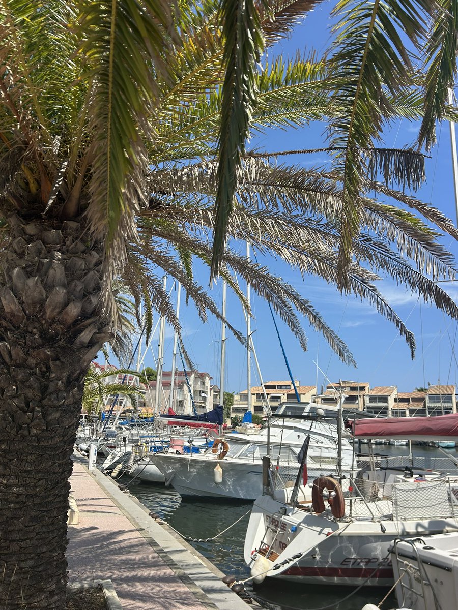 adeline_senan's tweet photo. Vive le sud de la France https://t.co/BCUFGdCeS4