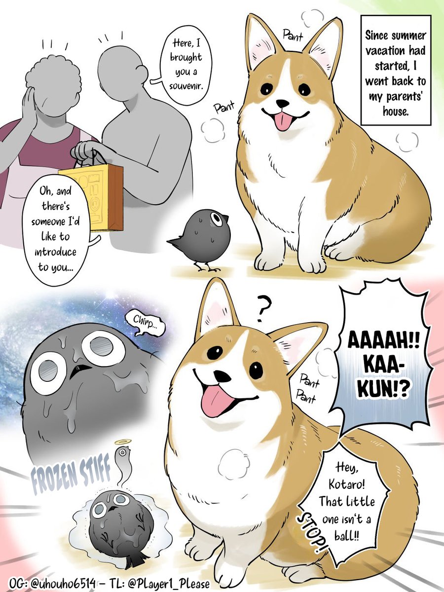 Player1_Please's tweet photo. Summer vacation
The little crow and the family's corgi
Eng ver, please support the artist if you like their works, thank you💝 https://t.co/LcOLhng7xB