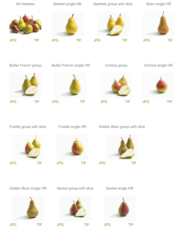 Bedrock573's tweet photo. i found the original source for the pearto pear, along with many other pears, if anyone was ever interested in having the highest quality possible
https://t.co/rqIa2huDzT https://t.co/3IpDMuwH7Q