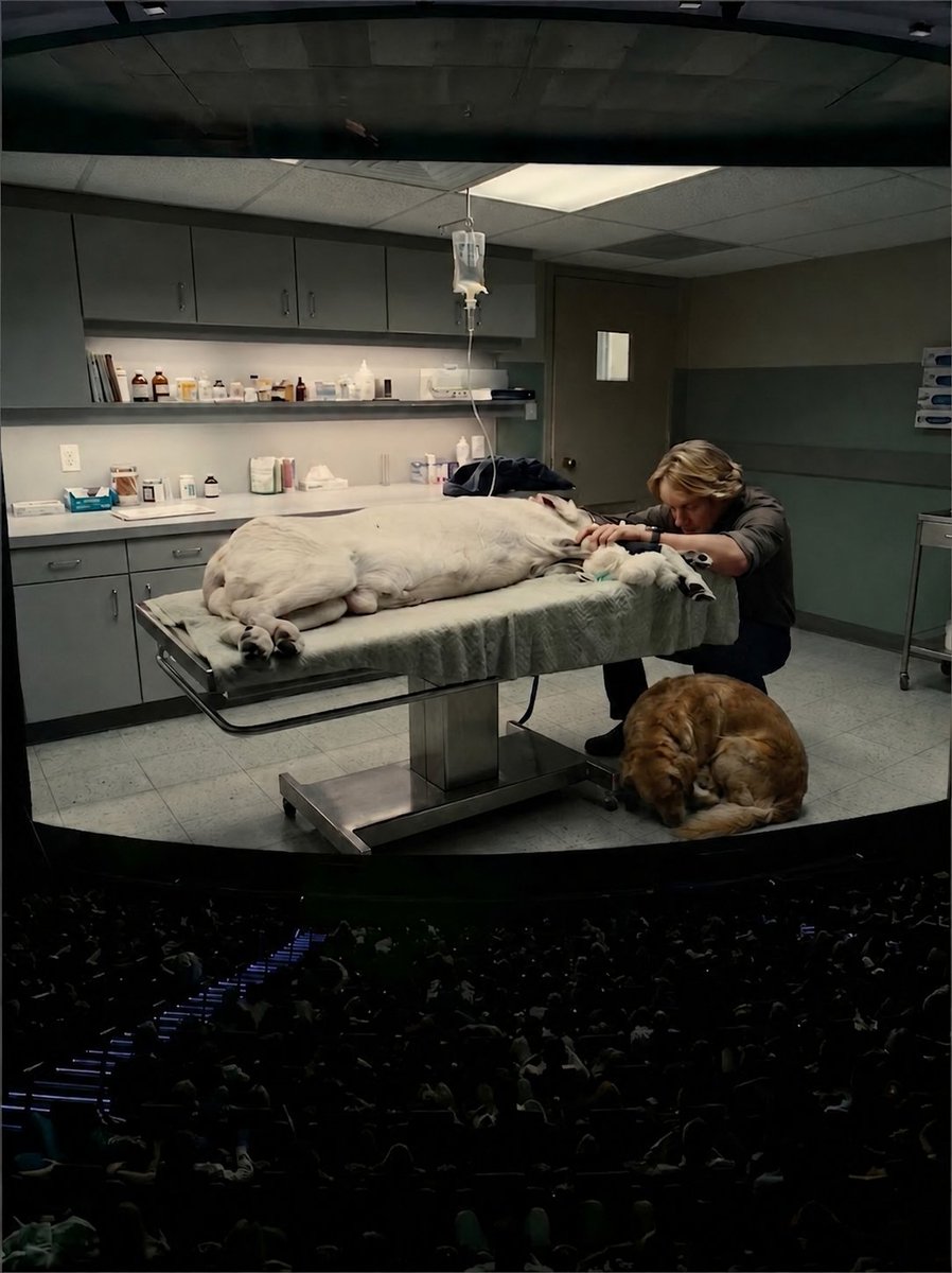 BohnJarckley's tweet photo. Marley &amp; Me in IMAX vs. regular screens.

So much of the film is lost on a regular screen.

The majority of viewers don't even know about Charlie, the dog that lives, because they don't have access to IMAX. https://t.co/XmlH0eUAeS