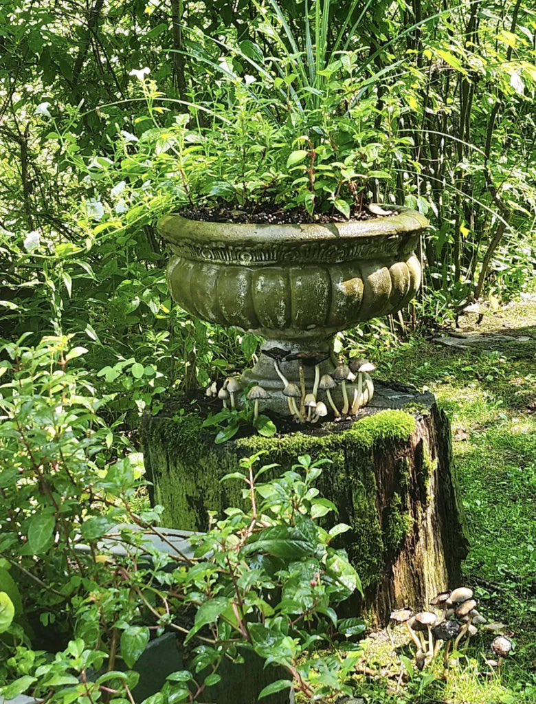 fire_spell's tweet photo. The witchy spot be witchin 😍 https://t.co/kuheNuQ6Gd