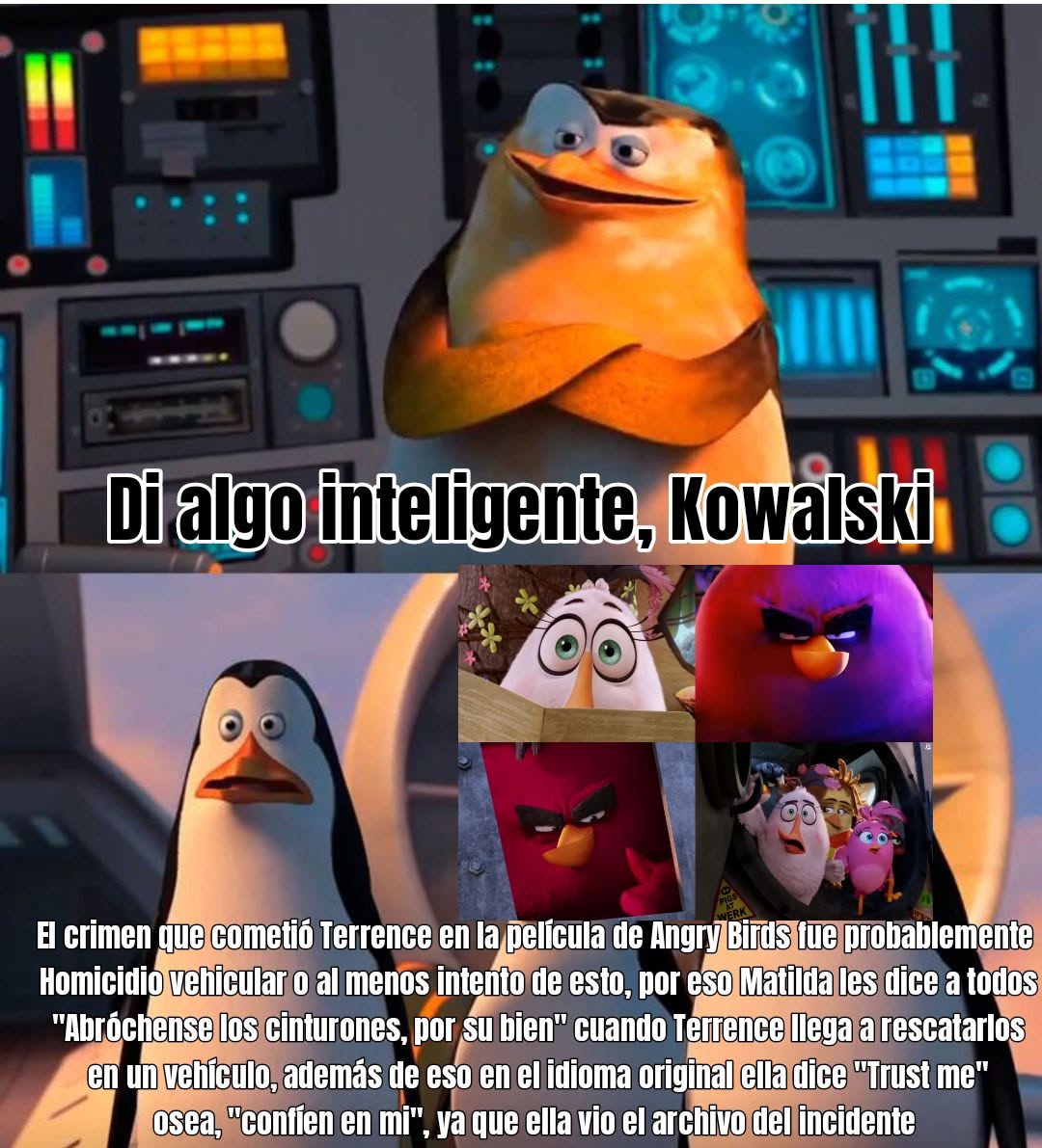 Una hormiga que mira tu post 🐜 tweet media