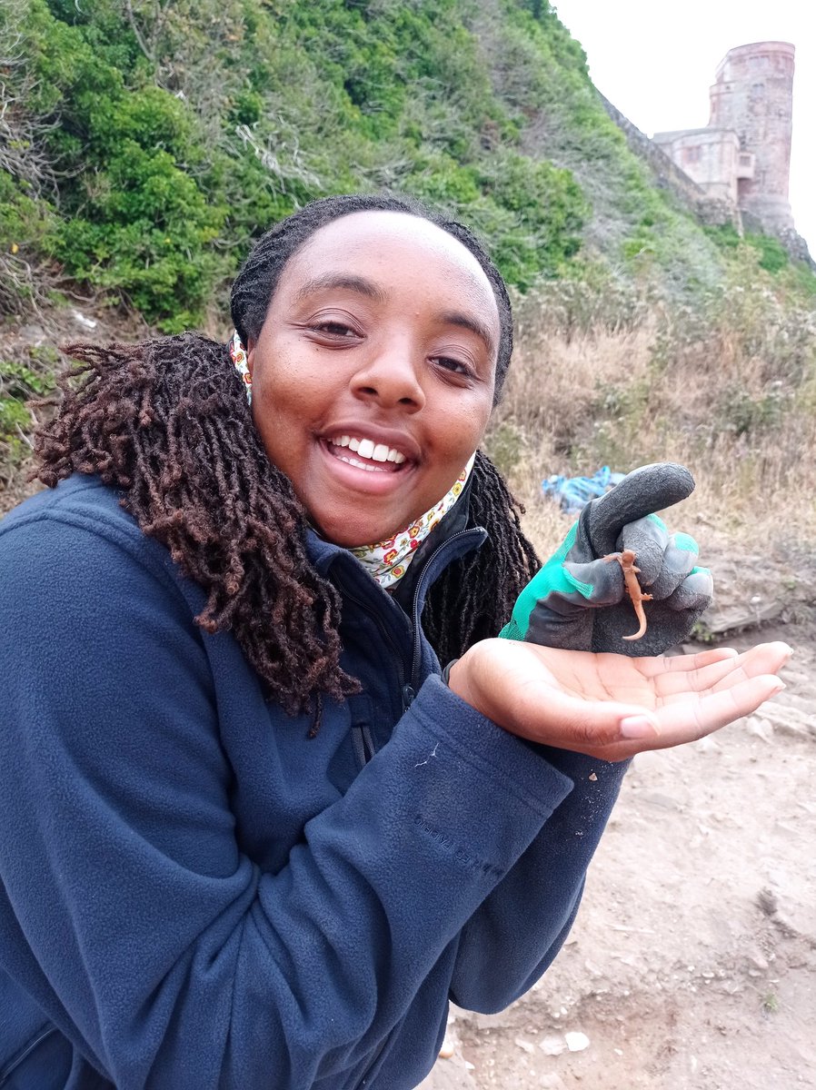brparchaeology tweet picture