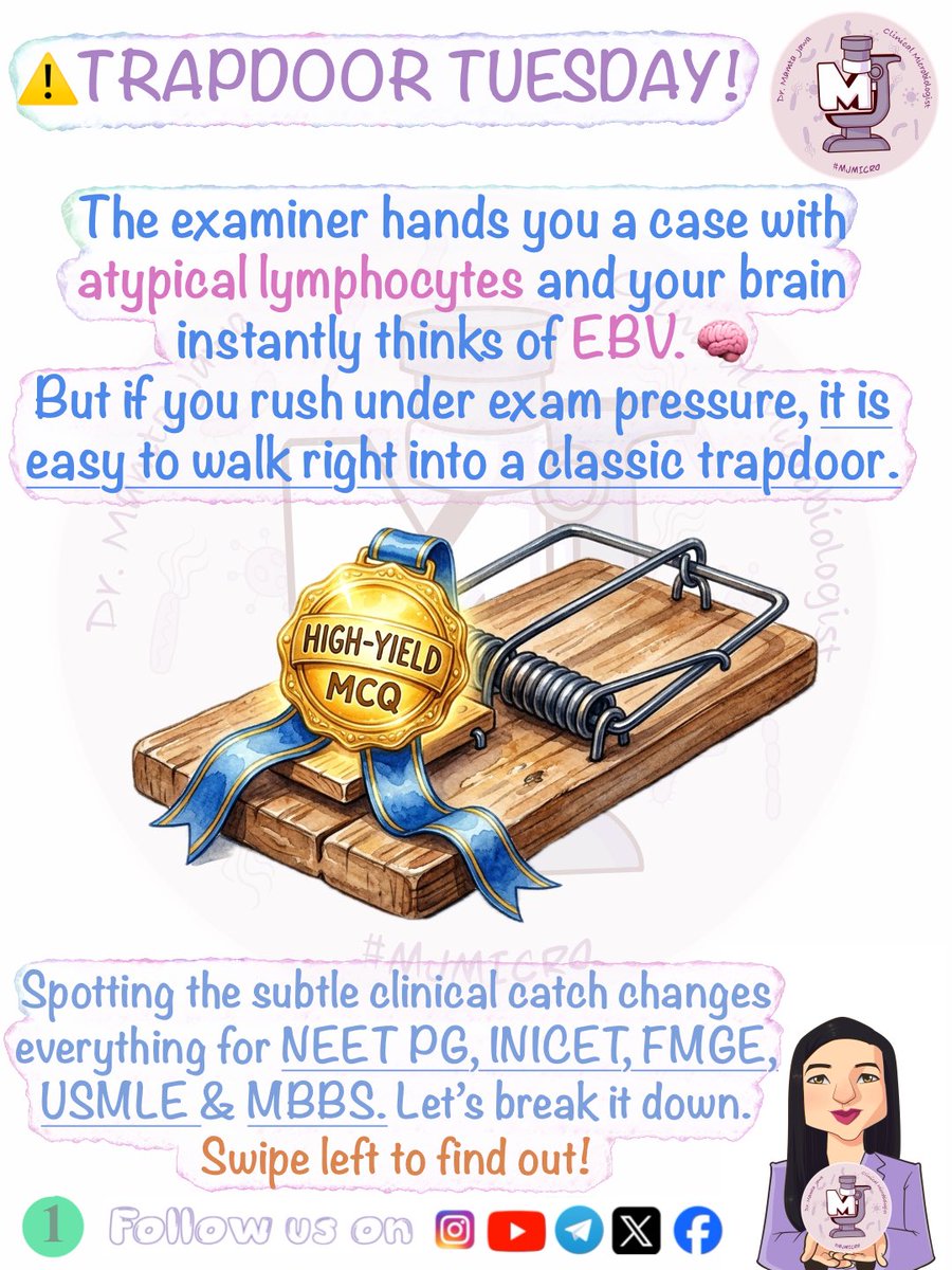 MJ_MICRO's tweet photo. Trapdoor Tuesday β
π§Ώ (Slides 5 & 6 in comments)
#MamtaJawa #MJMICRO #MedTwitter #MedX #MedTwt #microbiology #microtwitter #neetpg #inicet #fmge #usmle #mbbs https://t.co/YxAzQWxv9b