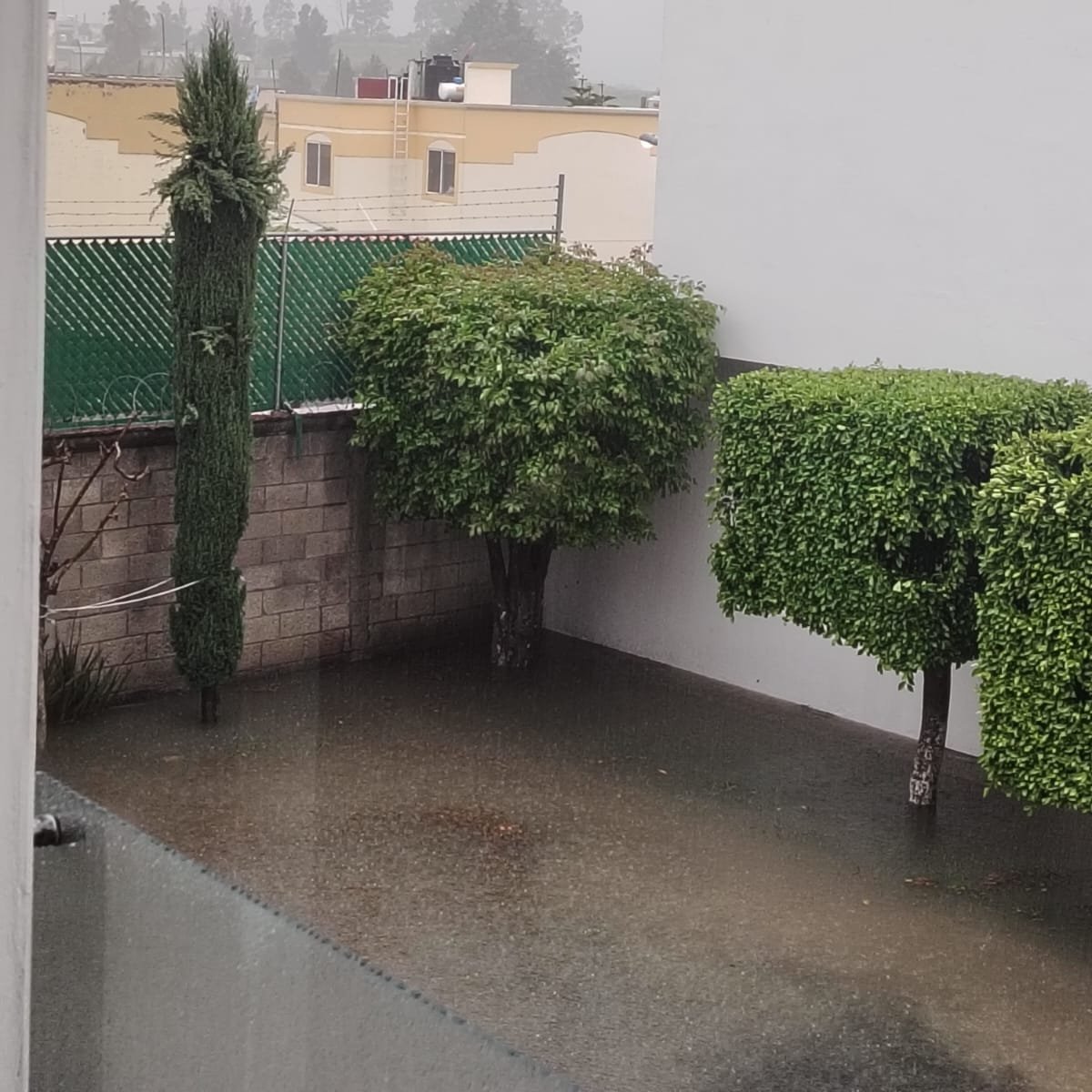 luisantoniogg's tweet photo. @AguadePuebla Favor de desazolvar, fracc Cipreses de Mayorazgo.  casas, rejistros inundados, tapas levantadas https://t.co/48GJKAXu7E