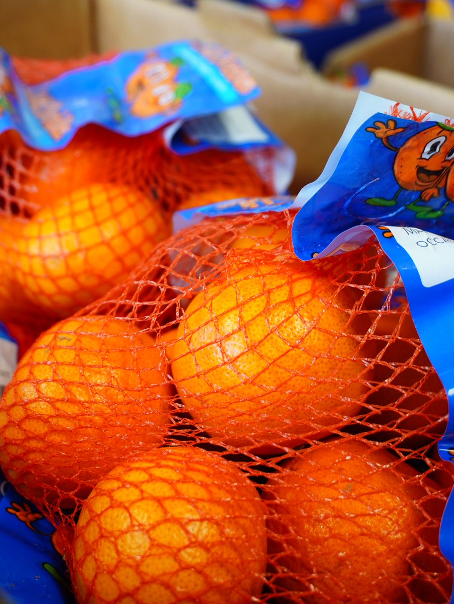 KimballProduce's tweet photo. Some fruits just feel familiar. These 10/3 Chilean Bagged Mandarins have a way of bringing back the simple moments that make citrus so enjoyable, and we're excited to have another beautiful shipment moving through Kimball Produce Sales. 🍊#FreshProduce #Mandarins #Citrus https://t.co/EGk3UXnEqd